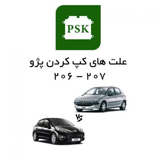 آموزش تعمیرات ecu : علت های کپ (کوپ) کردن موتور ۲۰۶ و ۲۰۷