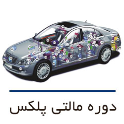 دوره مالتی پلکس - دوره اکو مکس